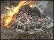 Les moules disposées en spirale sont recouvertes d'aiguilles de pin séchées auxquelles on met le feu. Ainsi les moules cuisent dans leur jus. C'est l'éclade qui nous vient ...