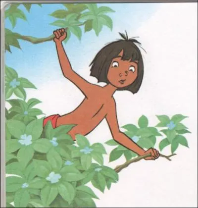 A qui doit-on l'criture de ce livre ?