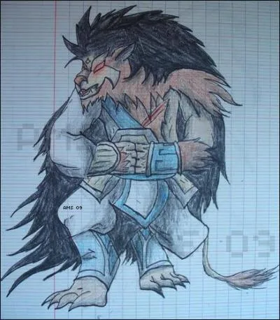 Comment s'appelle Gryf transform ?