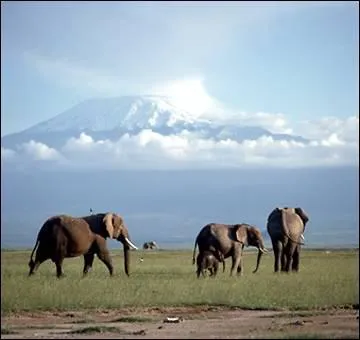 Qui a chant 'Les neiges du Kilimandjaro' ?