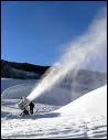 Le canon  neige est utilis pour complter l'enneigement naturel sur les pistes de ski. Quel est son autre nom ?