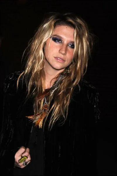 Qui est cette chanteuse ?