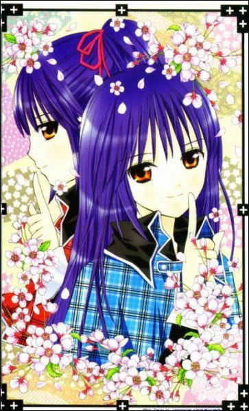 Qui sont les 'jumeaux' ?