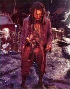 Qui est ce pirate maudit ?