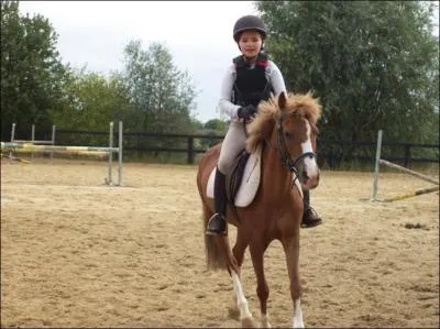 Les cavalettis sont :