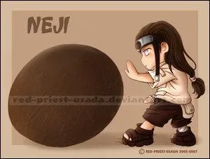 Je suis Neji Hyuuga, de la branche parallle dite :