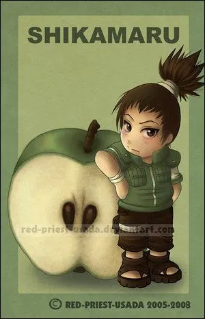Je suis l'un des coquipiers d'Ino, je suis Shikamaru :
