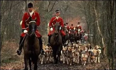 Je déteste la chasse à --------------.