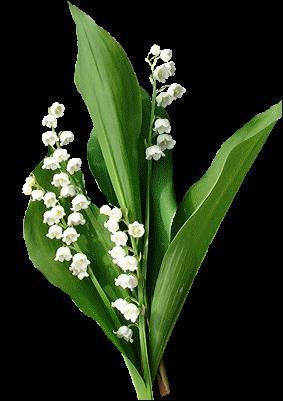 Quel est ce mois de l'anne ?