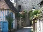 C'est une minuscule place forte mdivale sur une motte naturelle. Des rosiers, des maisons  colombages, des ruelles escarpes, des remparts, c'est...