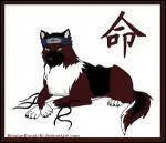 Qui fait quipe avec Hidan ?