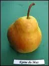 Laquelle de ces propositions ne correspond-t-elle pas  une poire ?
