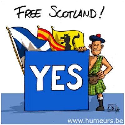 ''The YES needs the NO to win against the NO.''