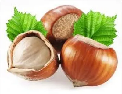 ''Une noisette, je la casse entre mes fesses, tu vois... ''