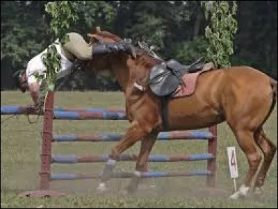 ''Je n'ai pas fait beaucoup d'équitation, ma silhouette m'a très vite handicapé. Mais quand le cheval trébuche, c'est la faute du cavalier.''