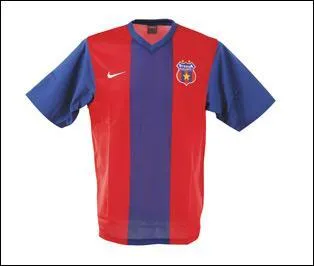 Quelle équipe porte ce maillot ?