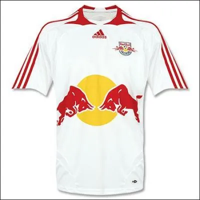 Quelle équipe porte ce maillot ?