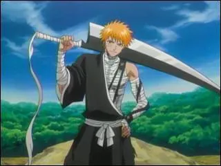 Quelle est la taille de ichigo kurosaki ?