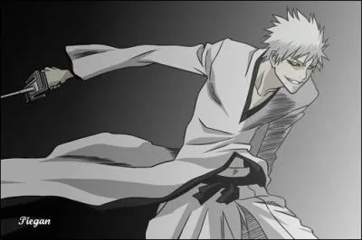 Quelle est l'ennemie jure de ichigo ?