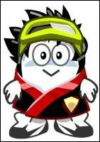 Comment s'appelle ce Chapatiz ?