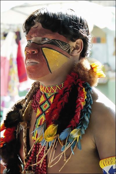Arme typique des Indiens d'Amazonie et titre d'un album de Francis Cabrel.