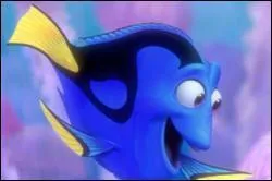 Quel est le nom de ce film ?