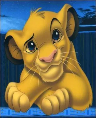 Quel est le nom de ce film ?