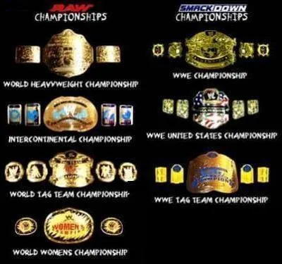 Qui est l'actuel champion de la WWE ?