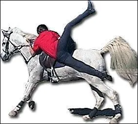 Question sport : comment se nomme cette discipline équestre ?
