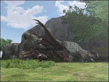 Quelle est sa particularité ?