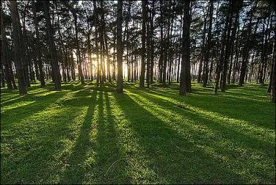 Laquelle de ces villes N'est PAS limitrophe de Thlus ?