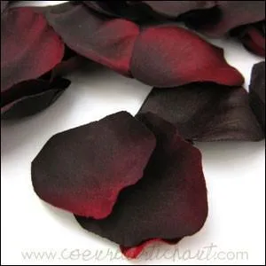 Quelle est la couleur en anglais ?