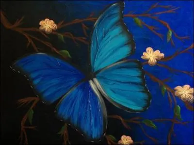 Quelle est la couleur en anglais ?