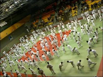 Quel est le nom du tapis prfr des judokas ?