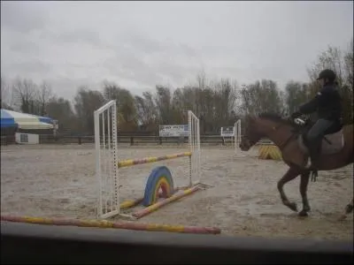 Quel est ce type d'obstacle ?