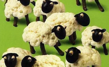 Quiz Animaux