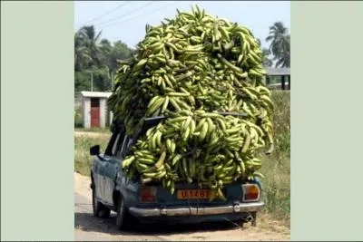 Quelle expresssion est la plus adapte ?