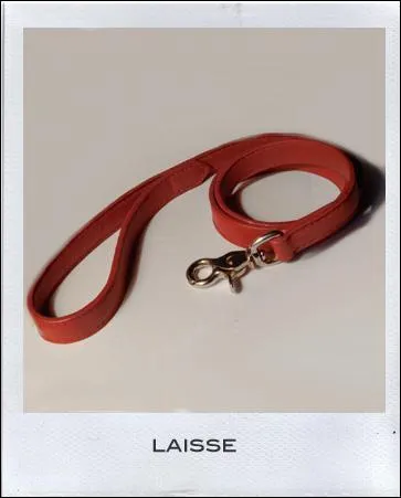 Comment dit-on cela en anglais ?