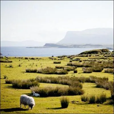 En incluant celui des les, quelle est la longueur du littoral cossais ? Environ :