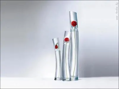 Quel est ce parfum ?