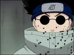 Quel est le nom de Shino ?
