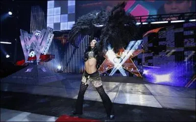 Comment s'appellent ces prises de finition (Melina) ?