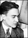 Raymond Radiguet a écrit 'Le bal du comte d'Orgel'.