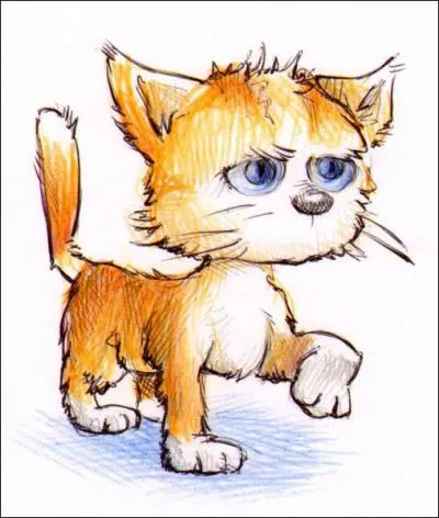 Quel est cet animal ?