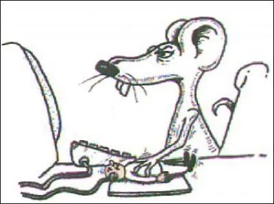 Quel est cet animal ?