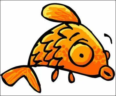 Quel est cet animal ?