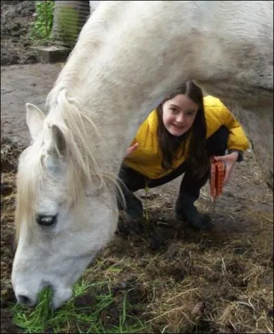 La taille du poney se mesure :