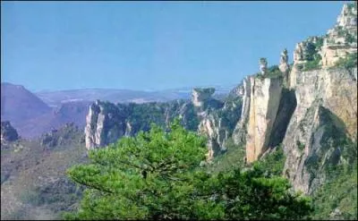 Sur la limite du Gard et de la Lozre le Mont Aigoual culmine  1565m, ce qui en fait le 2me sommet le plus haut :