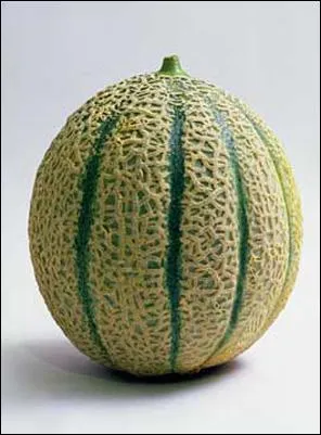 Qu'est-ce que c'est ?