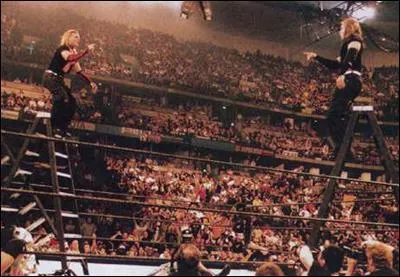 Quel PPV utilise le type de matchs favoris des Hardy boyz, Dudley boys et Edge & Christian en matchs principaux ?